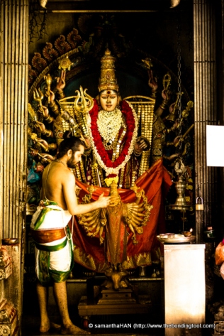 Priest performing ritual bath for the goddess Kali.
